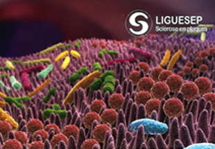 box auto immunes2022 01