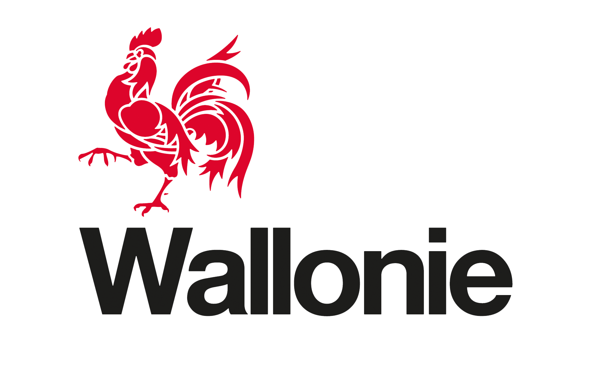 sponsors liguesep wallonie